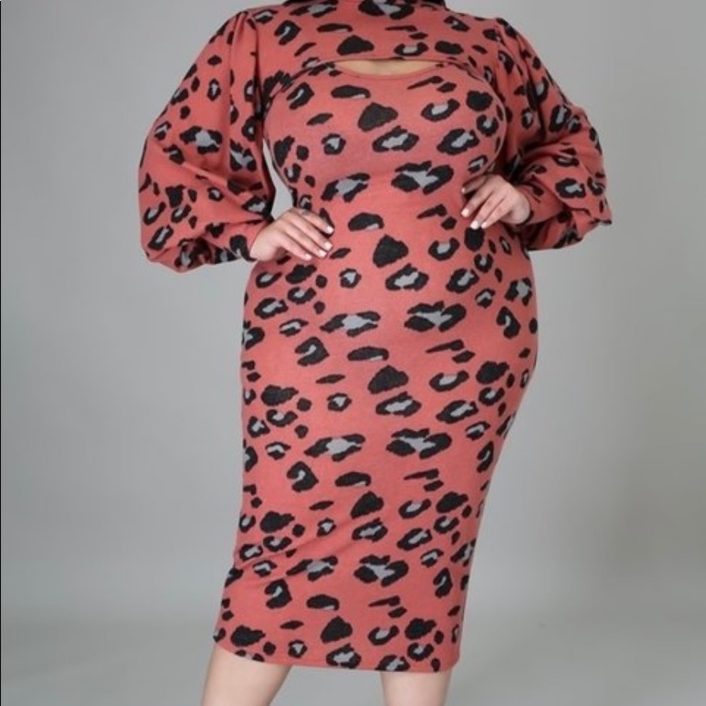 ✨♥️ 2-Piece Leopard Stretch Dress - Picture 3 of 8